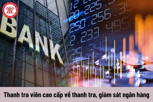 Thanh tra viên cao cấp về thanh tra, giám sát ngân hàng có những quyền gì?