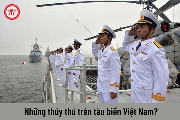 Trên tàu biển Việt Nam có những chức danh thủy thủ nào?