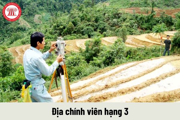 Yêu cầu về trình độ của viên chức giữ chức danh địa chính viên hạng 3 phải đáp ứng là gì?