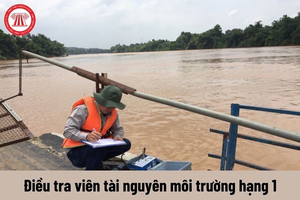 Yêu cầu về năng lực của Điều tra viên tài nguyên môi trường hạng 1 phải đáp ứng là gì?