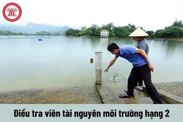 Điều tra viên tài nguyên môi trường hạng 2 phải đáp ứng yêu cầu về năng lực ra sao?