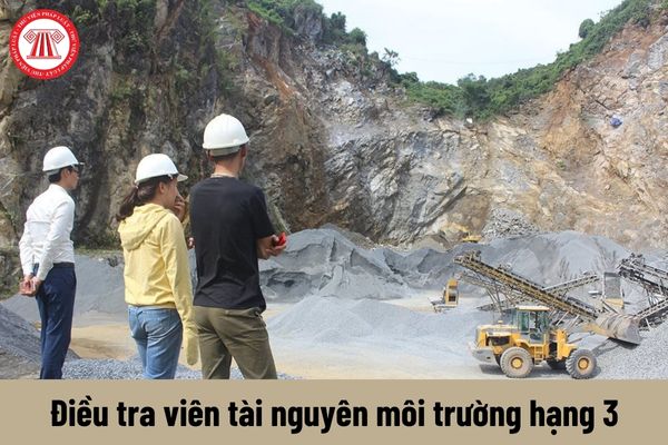 Quyền của Điều tra viên tài nguyên môi trường hạng 3 hiện nay là gì?