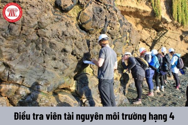 Điều tra viên tài nguyên môi trường hạng 4 có những quyền như thế nào?