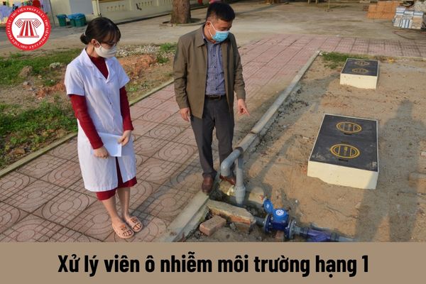 Xử lý viên ô nhiễm môi trường hạng 1 phải thực hiện những công việc gì?