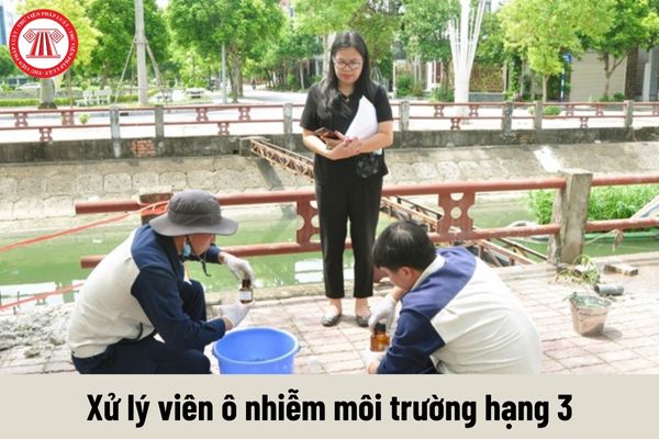 Yêu cầu về trình độ của Xử lý viên ô nhiễm môi trường hạng 3 phải đáp ứng là gì?