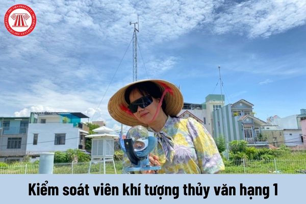 Yêu cầu về năng lực của Kiểm soát viên khí tượng thủy văn hạng 1 phải đáp ứng là gì?