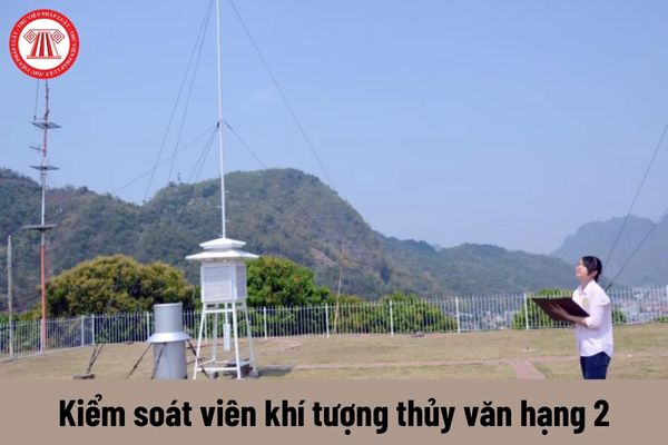 Kiểm soát viên khí tượng thủy văn hạng 2 phải đáp ứng yêu cầu về năng lực như thế nào?