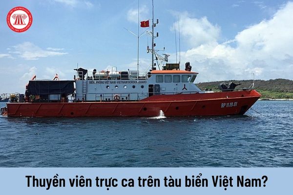 Những thuyền viên trực ca trên tàu biển Việt Nam thực hiện nhiệm vụ gì?