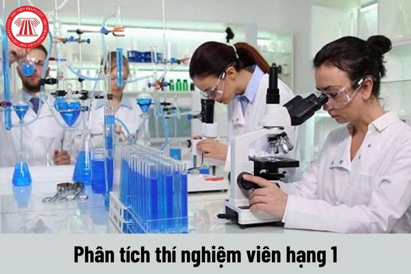 Công việc của Phân tích thí nghiệm viên hạng 1 phải thực hiện là gì?