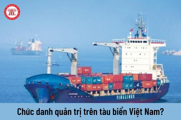 Không bố trí chức danh quản trị trên tàu biển Việt Nam thì nhiệm vụ quản trị tàu do ai đảm nhiệm?