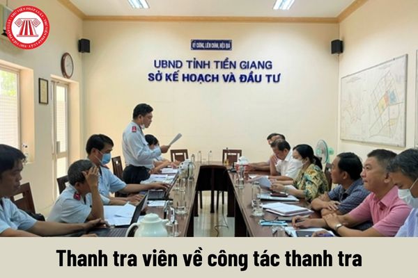 Công việc của Thanh tra viên về công tác thanh tra phải thực hiện là gì?