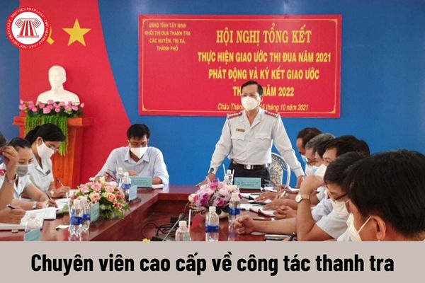 Chuyên viên cao cấp về công tác thanh tra phải thực hiện những công việc như thế nào?