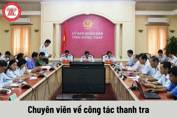 Chuyên viên về công tác thanh tra phải đáp ứng yêu cầu về trình độ như thế nào?