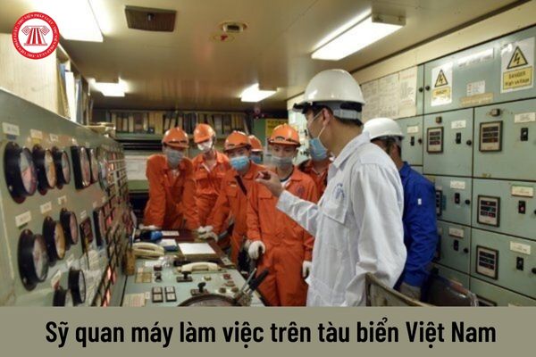 Có bao nhiêu sỹ quan máy làm việc trên tàu biển Việt Nam?