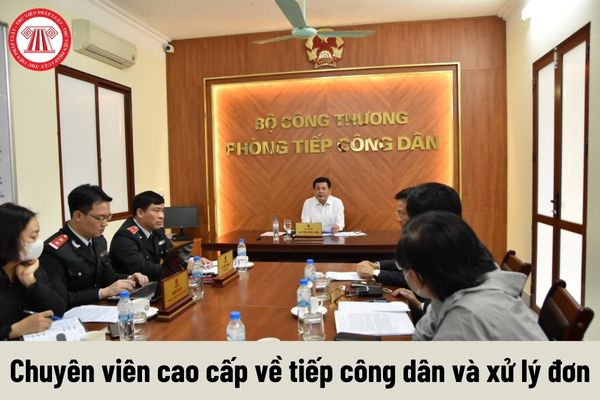 Chuyên viên cao cấp về tiếp công dân và xử lý đơn có những nhiệm vụ gì?