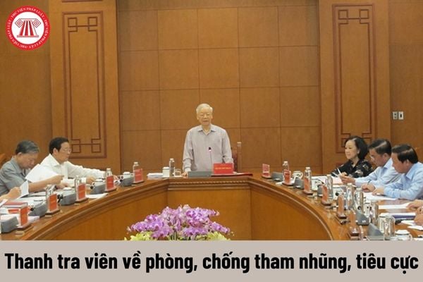 Thanh tra viên về phòng, chống tham nhũng, tiêu cực có nhiệm vụ như thế nào?