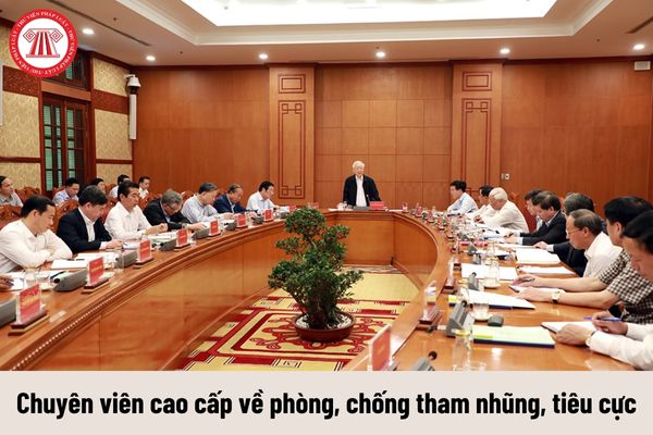 Yêu cầu về trình độ của Chuyên viên cao cấp về phòng, chống tham nhũng, tiêu cực phải đáp ứng là gì?