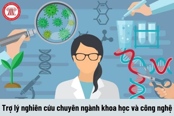 Trợ lý nghiên cứu chuyên ngành khoa học và công nghệ phải đáp ứng yêu cầu về trình độ như thế nào?