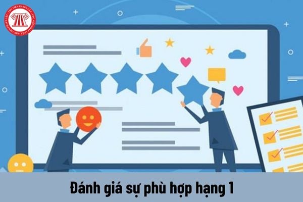 Viên chức giữ chức danh Đánh giá sự phù hợp hạng 1 phải thực hiện những công việc nào?