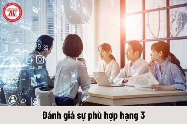 Người giữ chức danh Đánh giá sự phù hợp hạng 3 có những nhiệm vụ gì?