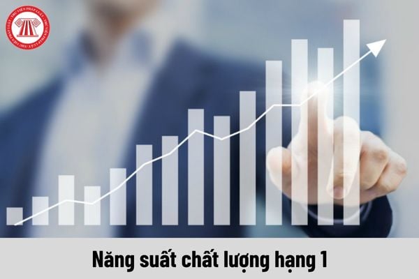 Yêu cầu về trình độ của viên chức giữ chức danh Năng suất chất lượng hạng 1 phải đáp ứng là gì?