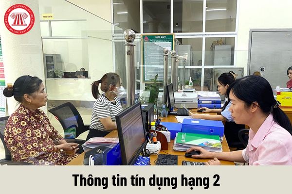 Yêu cầu về trình độ của Viên chức thông tin tín dụng hạng 2 phải đáp ứng là gì?