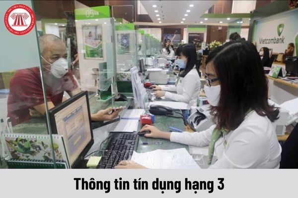 Viên chức giữ chức danh Thông tin tín dụng hạng 3 phải đáp ứng yêu cầu về trình độ ra sao?