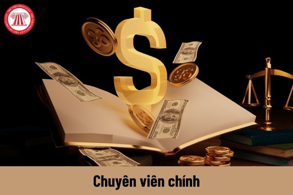 Chuyên viên chính về hoạch định và thực thi chính sách tiền tệ, ngân hàng có những quyền gì?