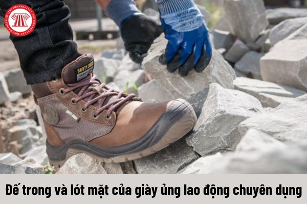 Đế trong và lót mặt của giày ủng lao động chuyên dụng phải đáp ứng yêu cầu như thế nào theo TCVN 7654:2007?
