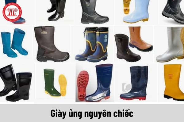 Giày ủng nguyên chiếc thuộc giày ủng lao động chuyên dụng phải đáp ứng yêu cầu theo TCVN 7654:2007 ra sao?