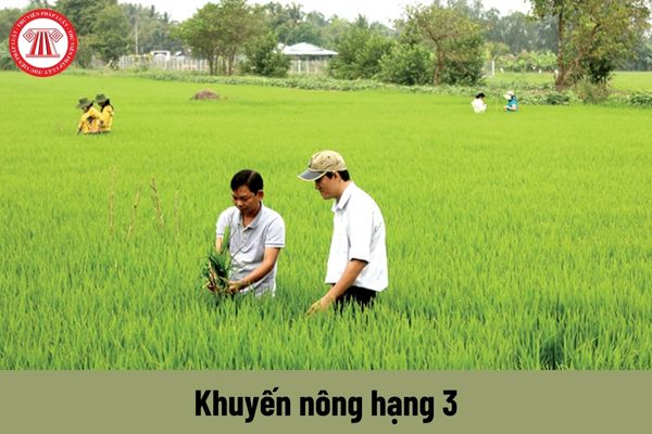 Nhiệm vụ của viên chức giữ chức danh Khuyến nông hạng 3 phải thực hiện là gì?