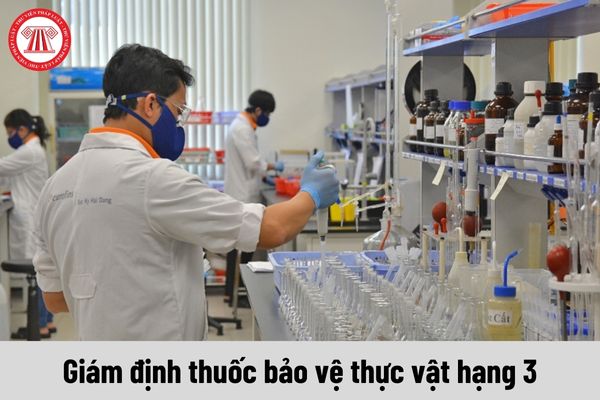 Công việc của Giám định thuốc bảo vệ thực vật hạng 3 phải thực hiện là gì?