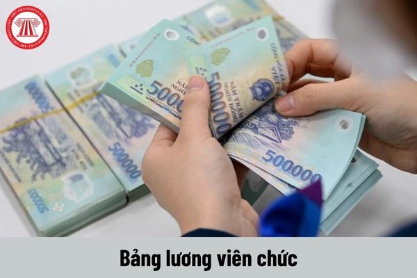 Bảng lương viên chức từ 1/7/2024 không giữ chức vụ lãnh đạo và giữ chức vụ lãnh đạo được xây dựng ra sao?