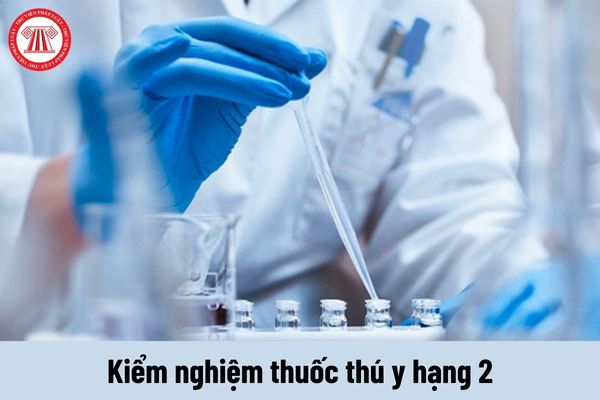 Nhiệm vụ của Kiểm nghiệm thuốc thú y hạng 2 phải thực hiện là gì?