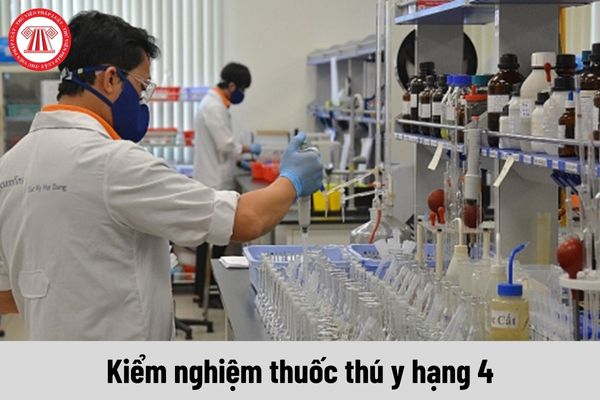 Công việc của Kiểm nghiệm thuốc thú y hạng 4 phải thực hiện hiện nay là gì?