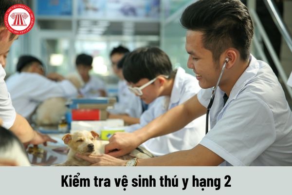 Kiểm tra vệ sinh thú y hạng 2 phải thực hiện những công việc như thế nào?