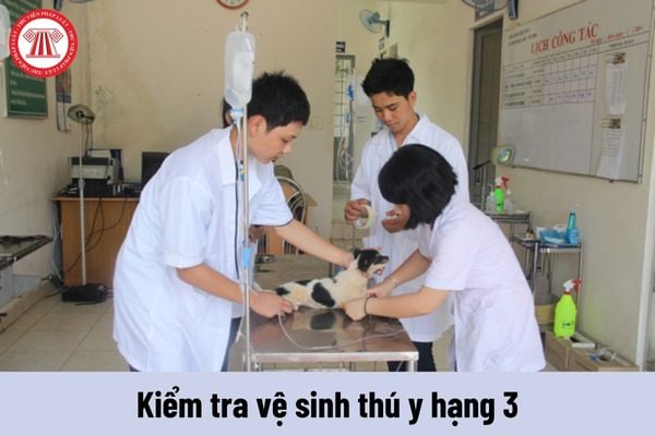 Yêu cầu về trình độ của Kiểm tra vệ sinh thú y hạng 3 phải đáp ứng là gì?