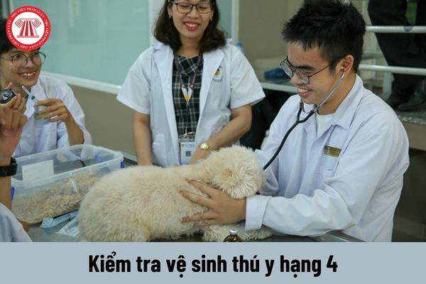 Kiểm tra vệ sinh thú y hạng 4 phải đáp ứng yêu cầu về trình độ như thế nào?