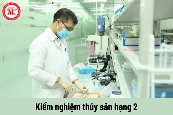 Nhiệm vụ của Kiểm nghiệm thủy sản hạng 2 phải thực hiện là gì?