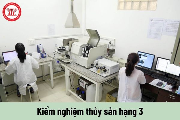 Kiểm nghiệm thủy sản hạng 3 phải thực hiện những nhiệm vụ như thế nào?