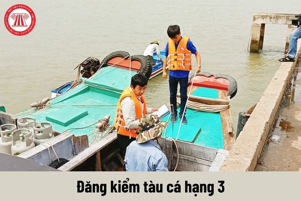 Đăng kiểm tàu cá hạng 3 phải đáp ứng yêu cầu về trình độ như thế nào?