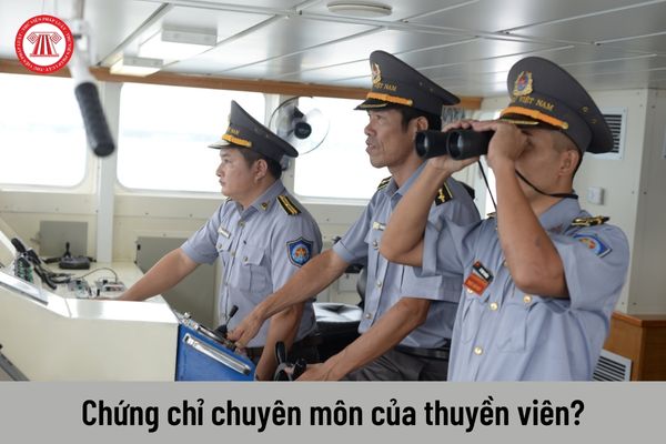 Những chứng chỉ chuyên môn của thuyền viên trên tàu biển Việt Nam?