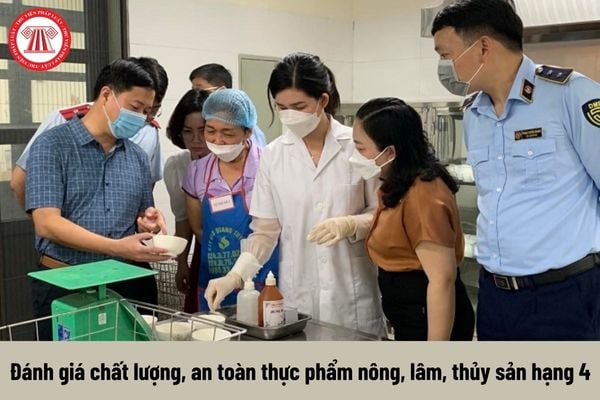 Đánh giá chất lượng, an toàn thực phẩm nông, lâm, thủy sản hạng 4 phải thực hiện những nhiệm vụ gì?