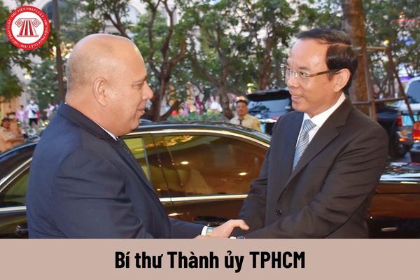 Ai có thẩm quyền phân công công tác đối với Bí thư Thành ủy TPHCM hiện nay?