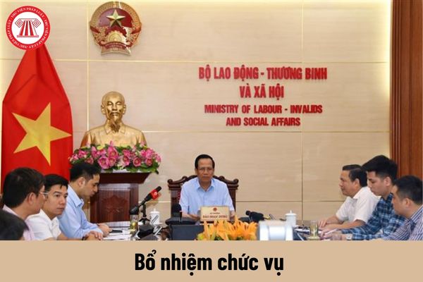 Ai có thẩm quyền bổ nhiệm chức vụ Thứ trưởng Bộ Lao động - Thương binh Xã hội?