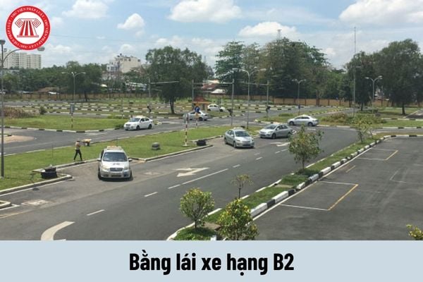 Bằng lái xe hạng B2 cấp cho người lái xe gì? Học B2 bao lâu thì xong?