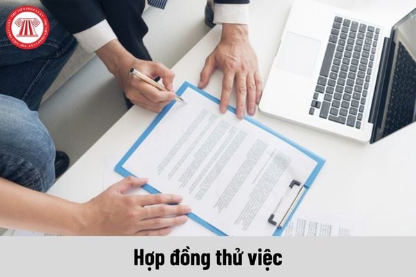 Phương án giải quyết khi Công ty trả lương thử việc thấp hơn quy định là gì?