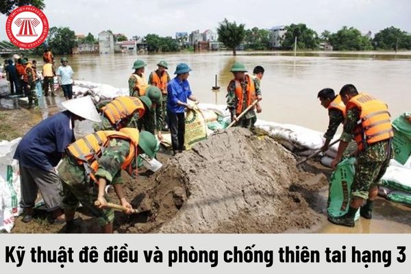 Kỹ thuật đê điều và phòng chống thiên tai hạng 3 phải đáp ứng yêu cầu về trình độ như thế nào?