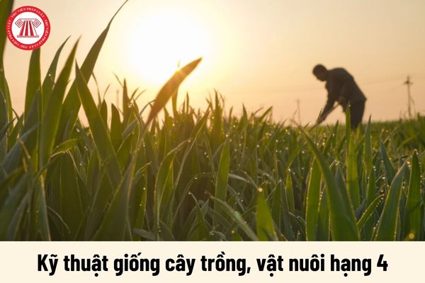 Nhiệm vụ của Kỹ thuật giống cây trồng, vật nuôi hạng 4 phải thực hiện là gì?