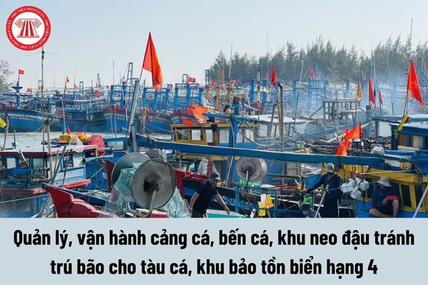 Nhiệm vụ của Quản lý, vận hành cảng cá, bến cá, khu neo đậu tránh trú bão cho tàu cá, khu bảo tồn biển hạng 4 là gì?